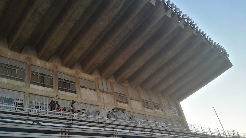 Arab Contractors Stadion (Dach)