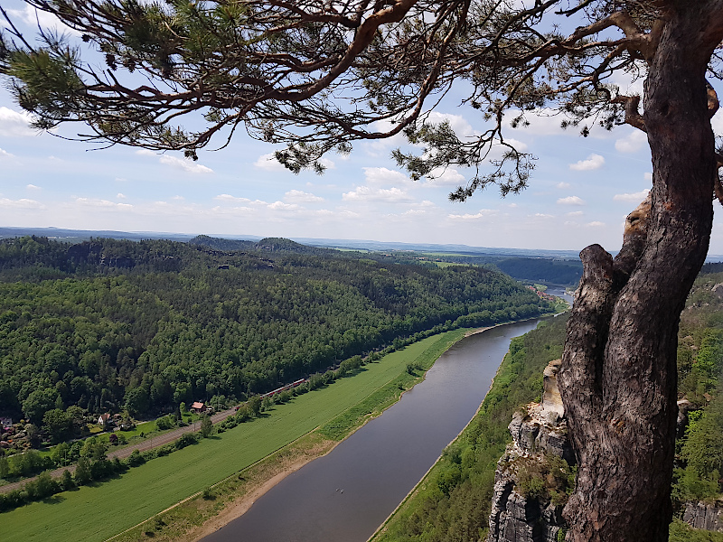 Blick über die Elbe von der Basteiaussicht