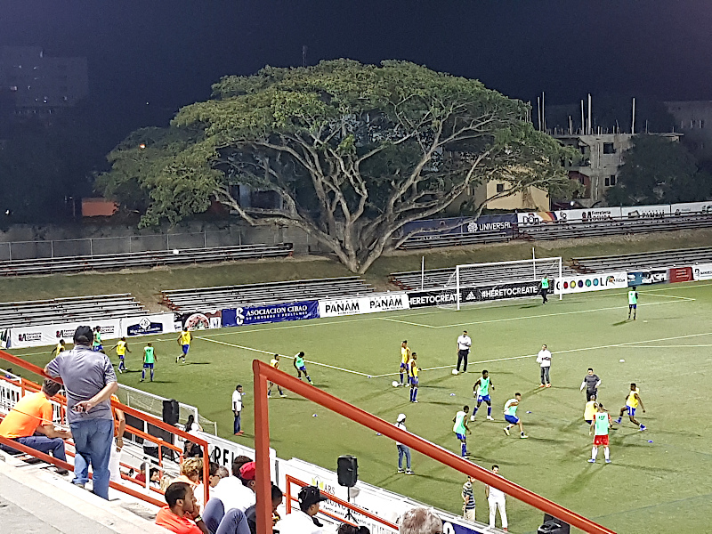 Cibao Stadion Baum