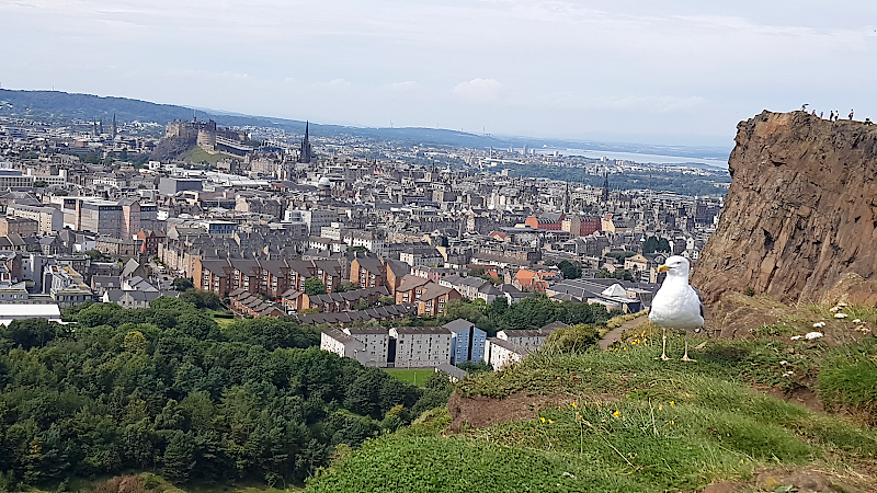 Edinburgh Schloss & Vogel