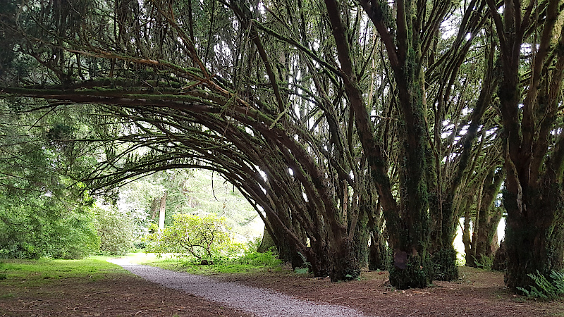 Inveraray Parkanlage Bäume