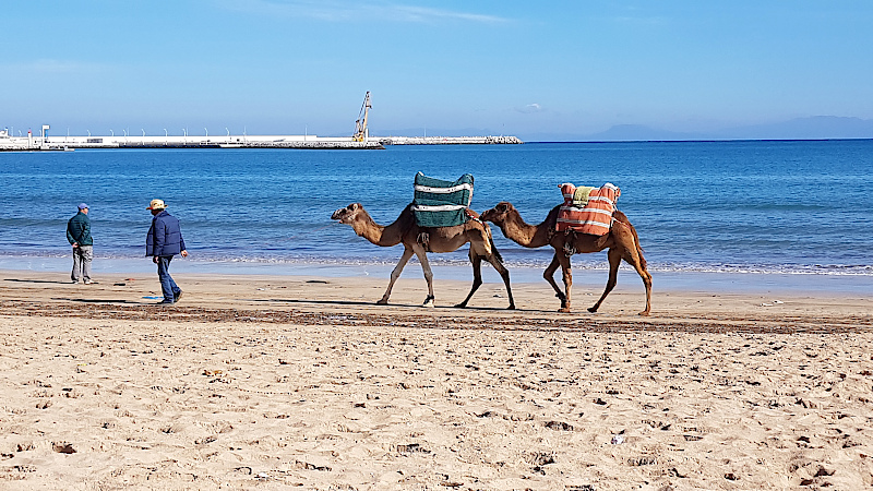 Der Strand von Tanger ist ein netter Halt unseres Marokko Roadtrips gewesen