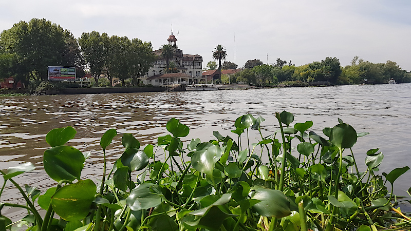 Tigre Delta Vegetation