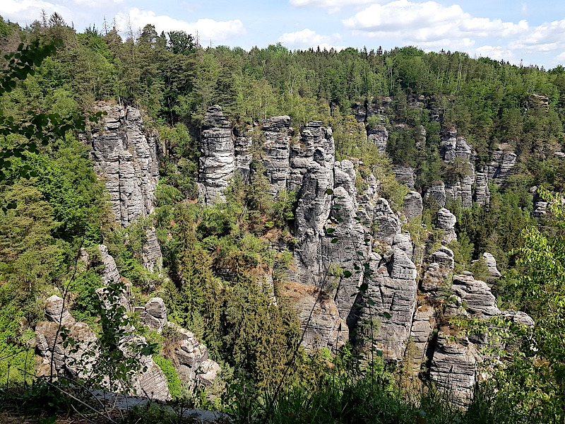 Wehlsteinaussicht in der Sächsischen Schweiz