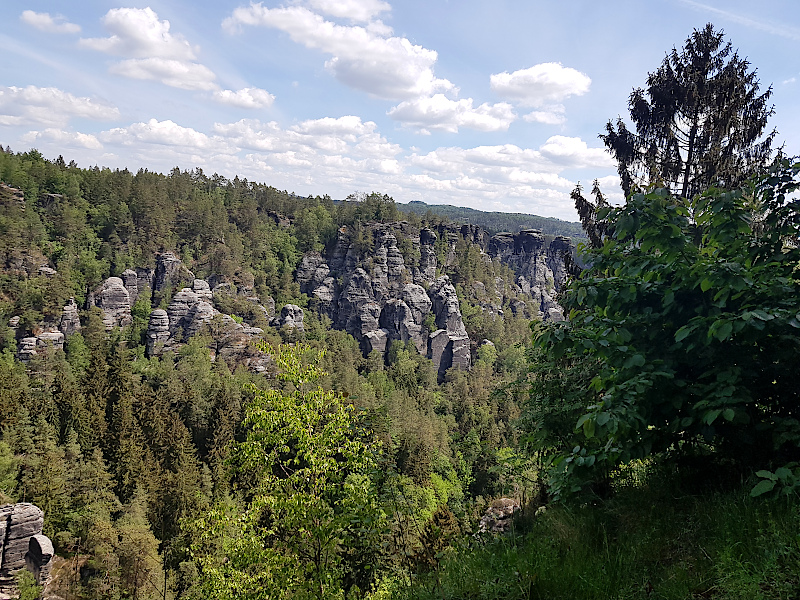 Wehlsteinaussicht Sächsische Schweiz