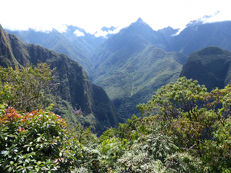 Natur in den peruanischen Anden