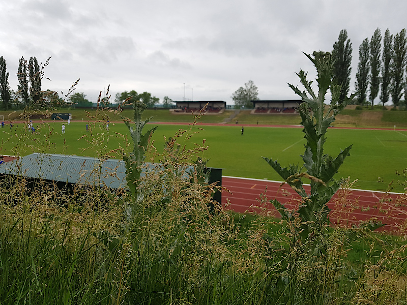 Slany Athletikstadion