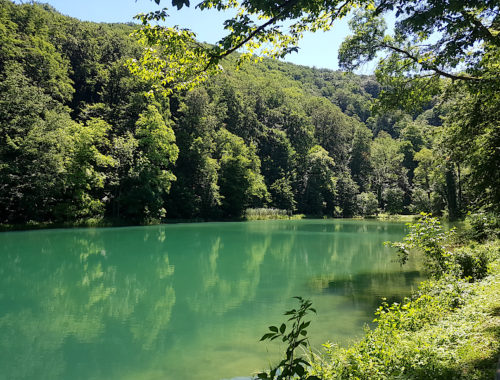 Grüner See bei Jankovac im Naturpark Papuk