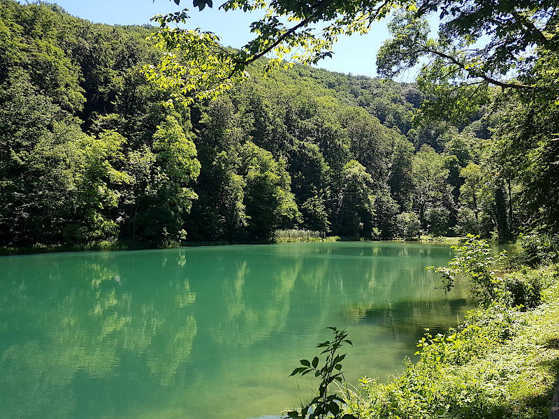 Grüner See bei Jankovac im Naturpark Papuk