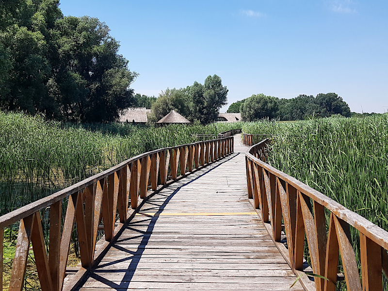 Kopacki rit Boardwalks