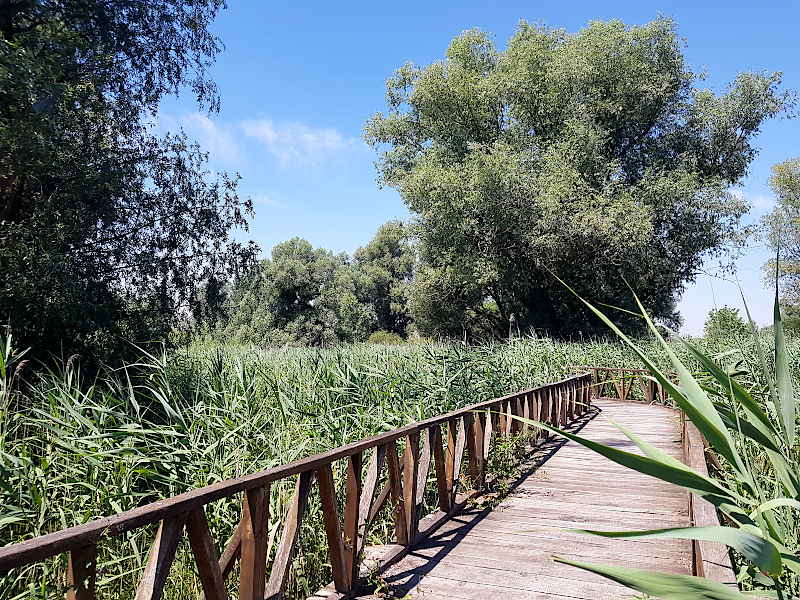 Naturpark in Kroatien Vegetation