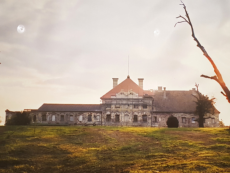 Das zerstörte Schloss Eltz 1991