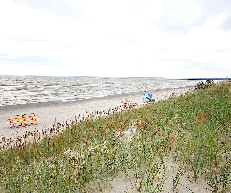 Pärnus Ladys Beach