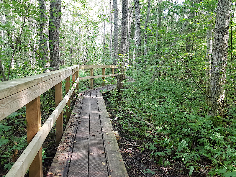 Boardwalks des Ingatsi Trails