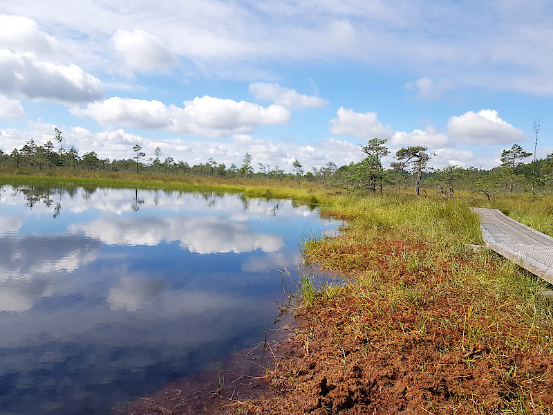 Soomaa Nationalpark & Wolkenhimmel