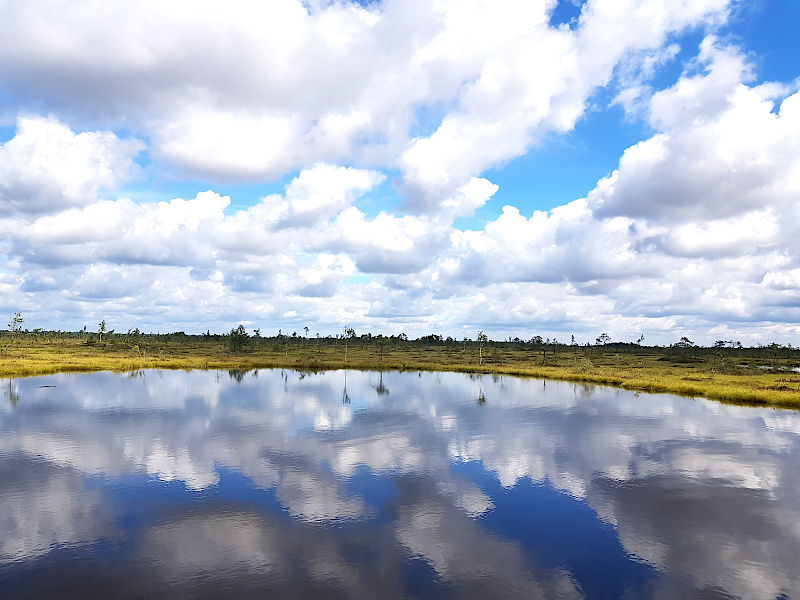 Die Spiegel im Soomaa Nationalpark