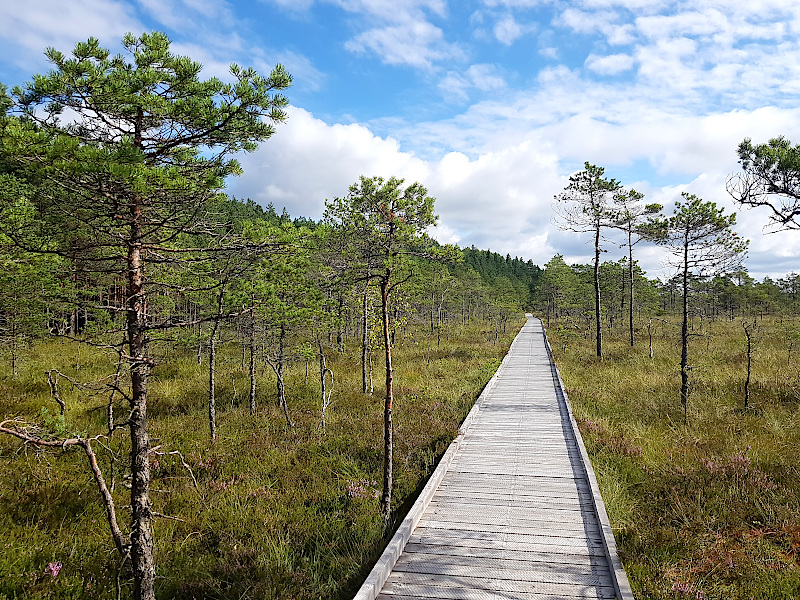 Ruhe im Soomaa Nationalpark