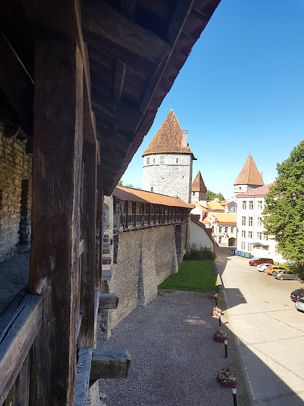 Stadtmauer in Tallinn