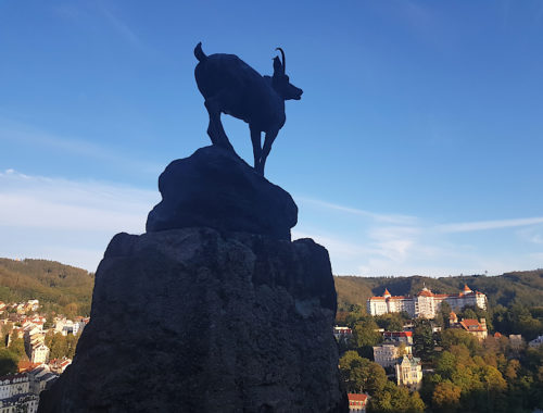 Karlsbad Steinbock im Schatten