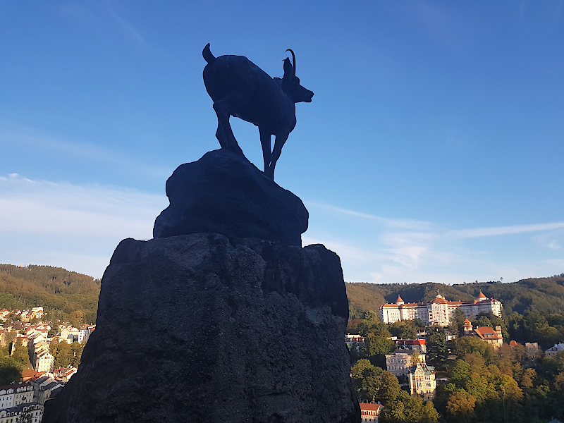 Karlsbad Steinbock im Schatten