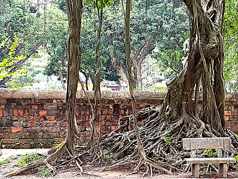 Literaturtempel Hanoi Wurzeln