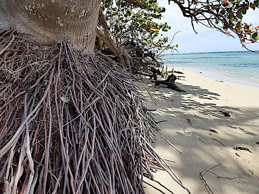 Puerto Plata Strand
