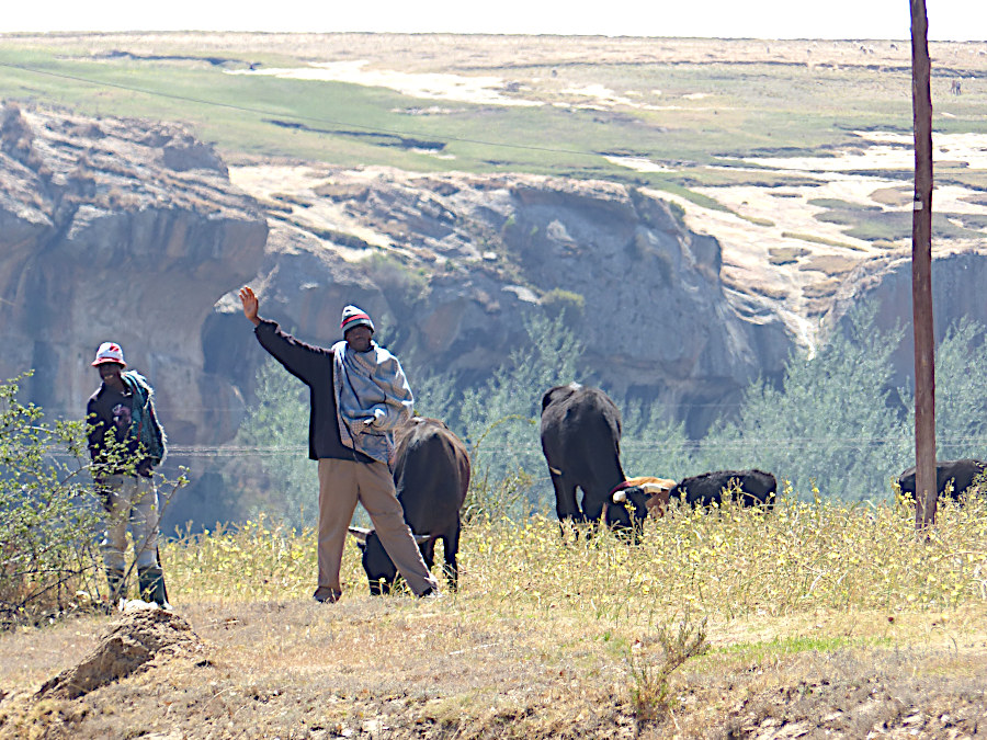 Bauern in Lesotho bei der Arbeit